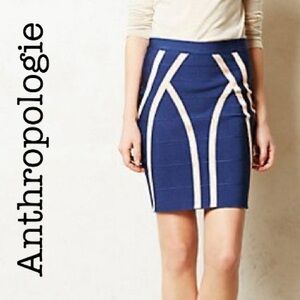 Anthropologie Navy and Pink Pencil Skirt Size Small